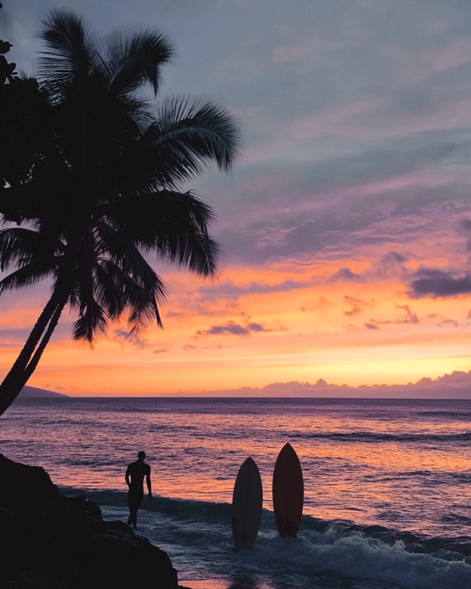 nueva colección nomad coast